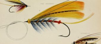 fly-tying