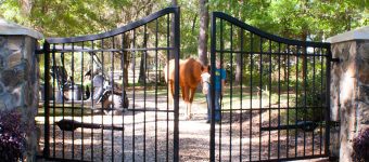 best gate opener